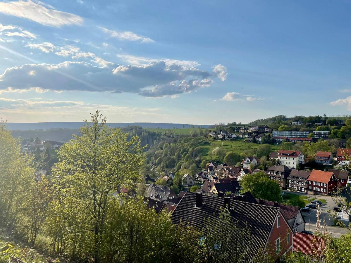 Ferienwohnung Donald Sankt Andreasberg Exterior foto
